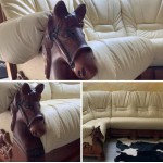 диван з фігурою коня, шкіряний диван мустанг,меблі мустанг,меблі mustang